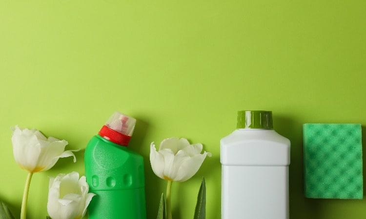 Vegan Cleaning Products Analysis