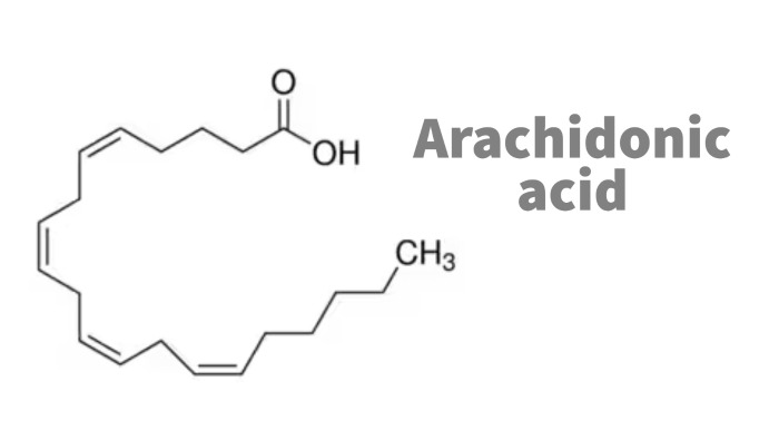 O ácido araquidônico é vegano?