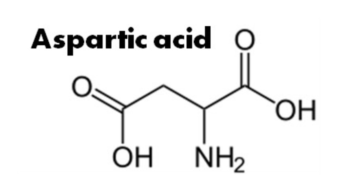 هل حمض الأسبارتيك نباتي؟