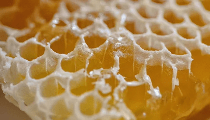 蜂蜡是素食主义者吗？
