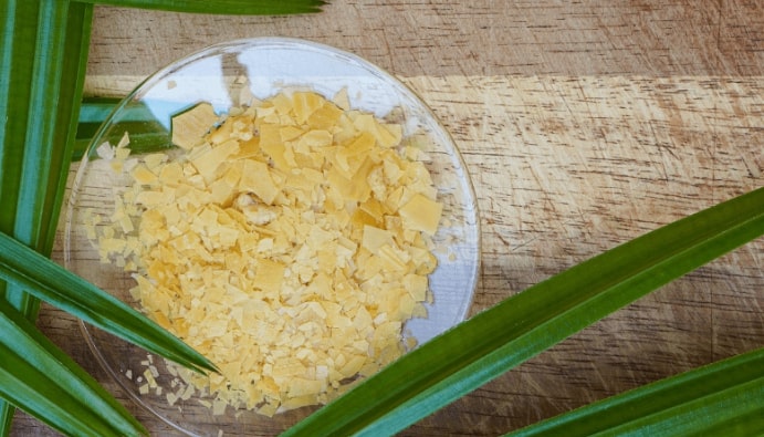 巴西棕榈蜡是纯素食吗？